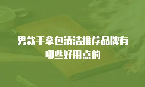 男款手拿包清洁推荐品牌有哪些好用点的