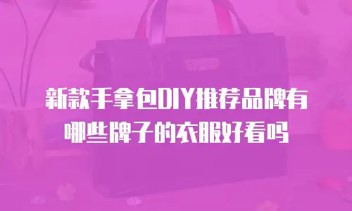 新款手拿包DIY推荐品牌有哪些牌子的衣服好看吗