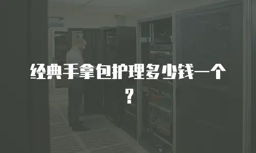 经典手拿包护理多少钱一个？