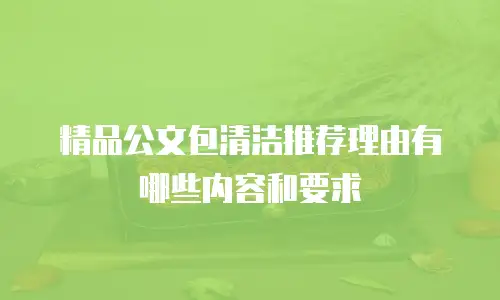 精品公文包清洁推荐理由有哪些内容和要求