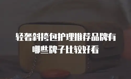 轻奢斜挎包护理推荐品牌有哪些牌子比较好看