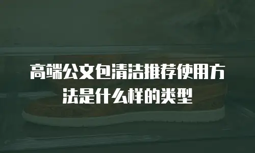 高端公文包清洁推荐使用方法是什么样的类型