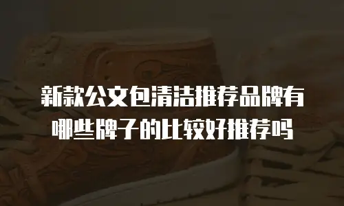 新款公文包清洁推荐品牌有哪些牌子的比较好推荐吗