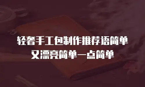 轻奢手工包制作推荐语简单又漂亮简单一点简单