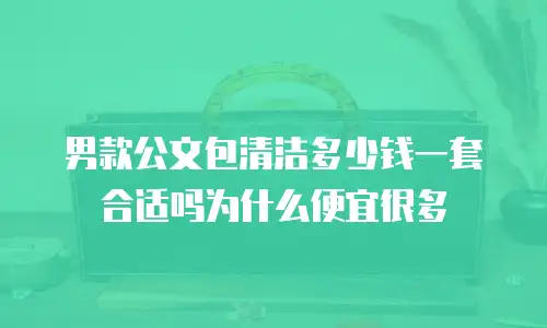 男款公文包清洁多少钱一套合适吗为什么便宜很多