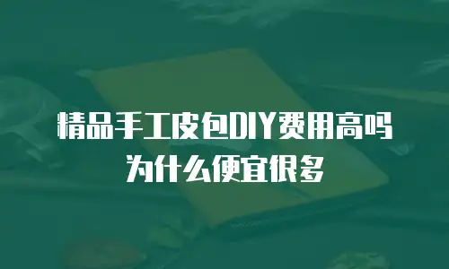 精品手工皮包DIY费用高吗为什么便宜很多