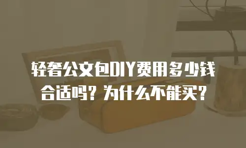 轻奢公文包DIY费用多少钱合适吗？为什么不能买？