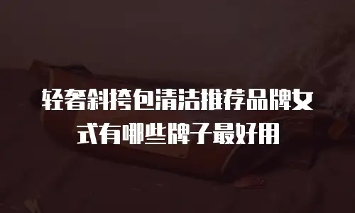 轻奢斜挎包清洁推荐品牌女式有哪些牌子最好用