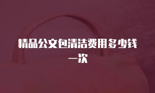 精品公文包清洁费用多少钱一次