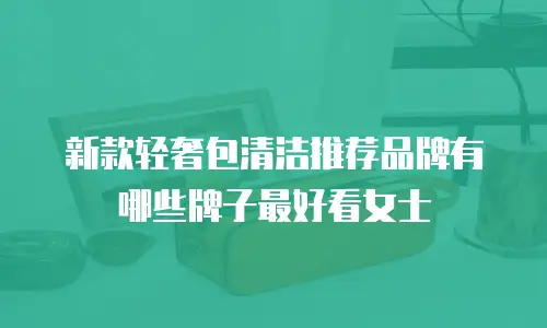 新款轻奢包清洁推荐品牌有哪些牌子最好看女士