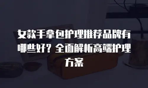 女款手拿包护理推荐品牌有哪些好？全面解析高端护理方案