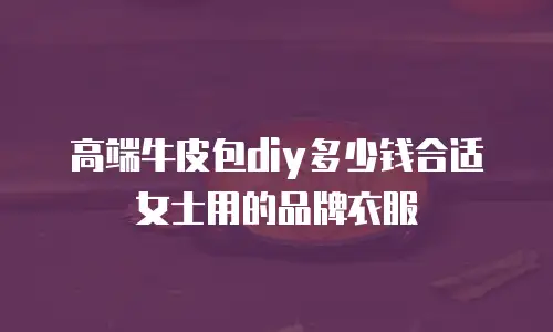 高端牛皮包diy多少钱合适女士用的品牌衣服