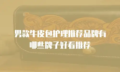 男款牛皮包护理推荐品牌有哪些牌子好看推荐