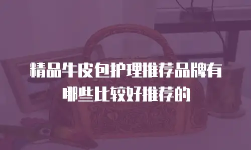 精品牛皮包护理推荐品牌有哪些比较好推荐的