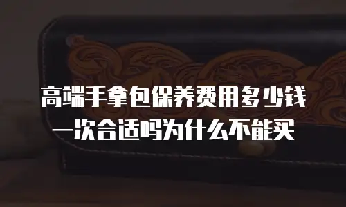 高端手拿包保养费用多少钱一次合适吗为什么不能买