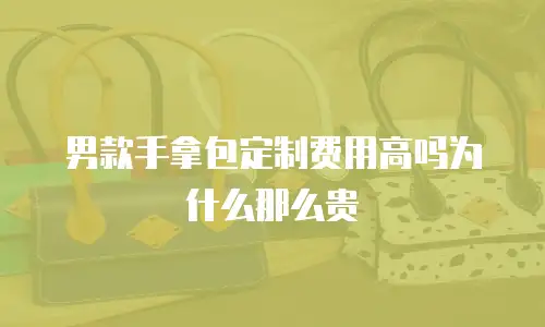 男款手拿包定制费用高吗为什么那么贵