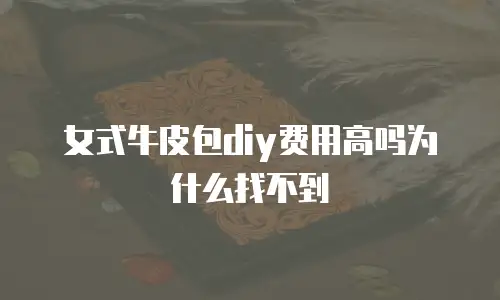 女式牛皮包diy费用高吗为什么找不到