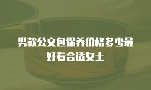 男款公文包保养价格多少最好看合适女士