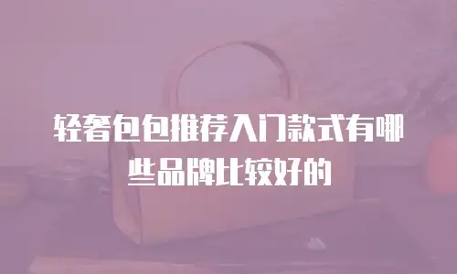 轻奢包包推荐入门款式有哪些品牌比较好的