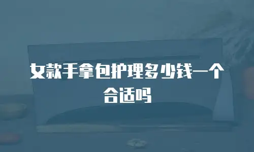 女款手拿包护理多少钱一个合适吗