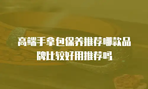 高端手拿包保养推荐哪款品牌比较好用推荐吗