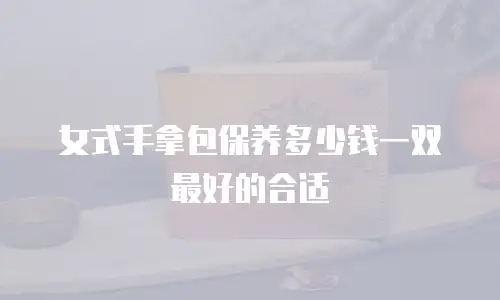 女式手拿包保养多少钱一双最好的合适
