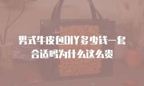 男式牛皮包DIY多少钱一套合适吗为什么这么贵