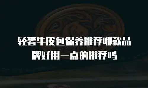 轻奢牛皮包保养推荐哪款品牌好用一点的推荐吗