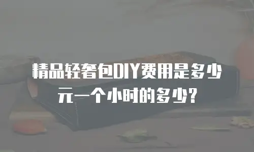 精品轻奢包DIY费用是多少元一个小时的多少？