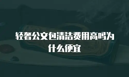 轻奢公文包清洁费用高吗为什么便宜