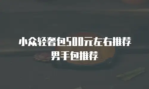 小众轻奢包500元左右推荐男手包推荐