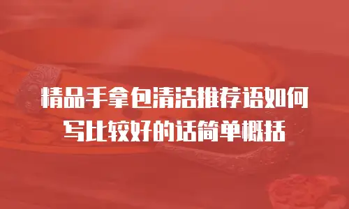 精品手拿包清洁推荐语如何写比较好的话简单概括