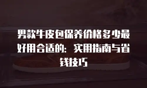 男款牛皮包保养价格多少最好用合适的：实用指南与省钱技巧