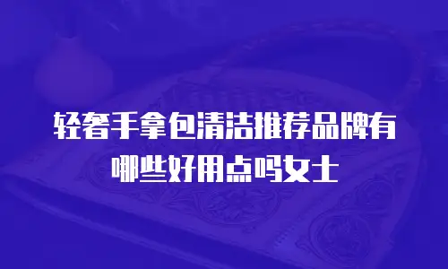 轻奢手拿包清洁推荐品牌有哪些好用点吗女士