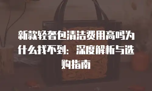 新款轻奢包清洁费用高吗为什么找不到：深度解析与选购指南