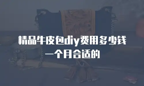精品牛皮包diy费用多少钱一个月合适的