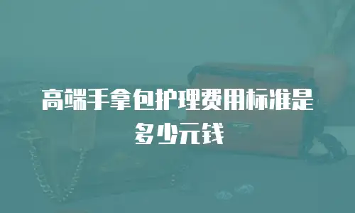 高端手拿包护理费用标准是多少元钱