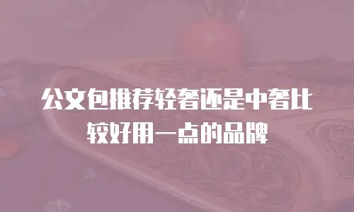公文包推荐轻奢还是中奢比较好用一点的品牌