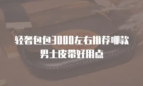 轻奢包包3000左右推荐哪款男士皮带好用点