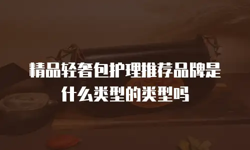 精品轻奢包护理推荐品牌是什么类型的类型吗