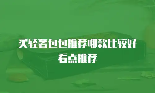 买轻奢包包推荐哪款比较好看点推荐