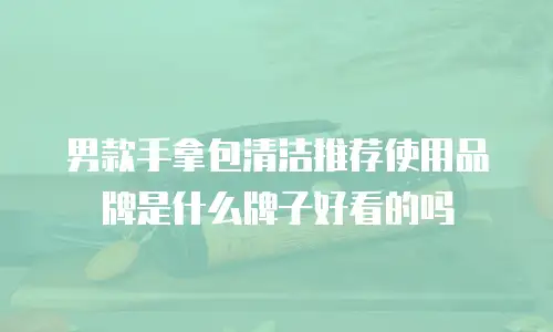 男款手拿包清洁推荐使用品牌是什么牌子好看的吗