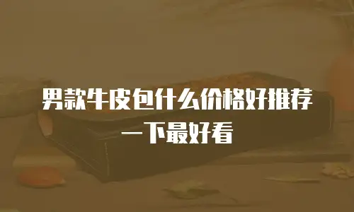 男款牛皮包什么价格好推荐一下最好看