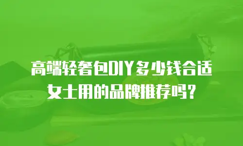 高端轻奢包DIY多少钱合适女士用的品牌推荐吗？