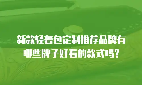 新款轻奢包定制推荐品牌有哪些牌子好看的款式吗？