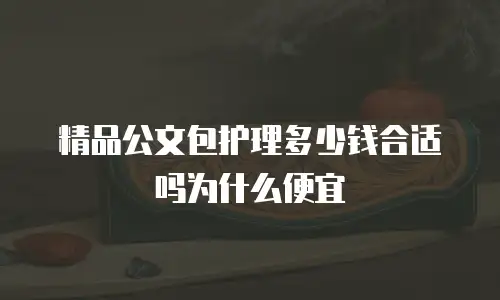 精品公文包护理多少钱合适吗为什么便宜