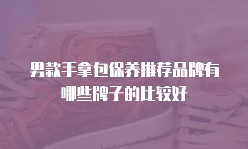 男款手拿包保养推荐品牌有哪些牌子的比较好