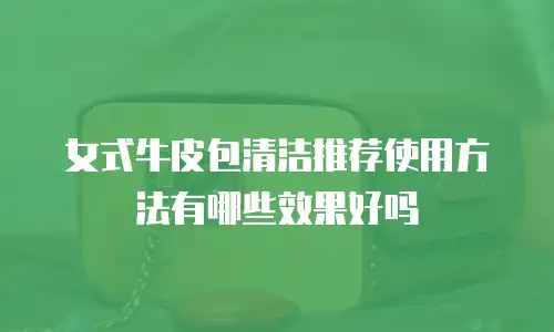 女式牛皮包清洁推荐使用方法有哪些效果好吗
