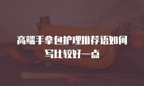 高端手拿包护理推荐语如何写比较好一点