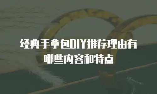 经典手拿包DIY推荐理由有哪些内容和特点